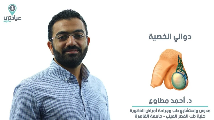 تكلفة عملية دوالى الخصية بالميكروسكوب فى مصر